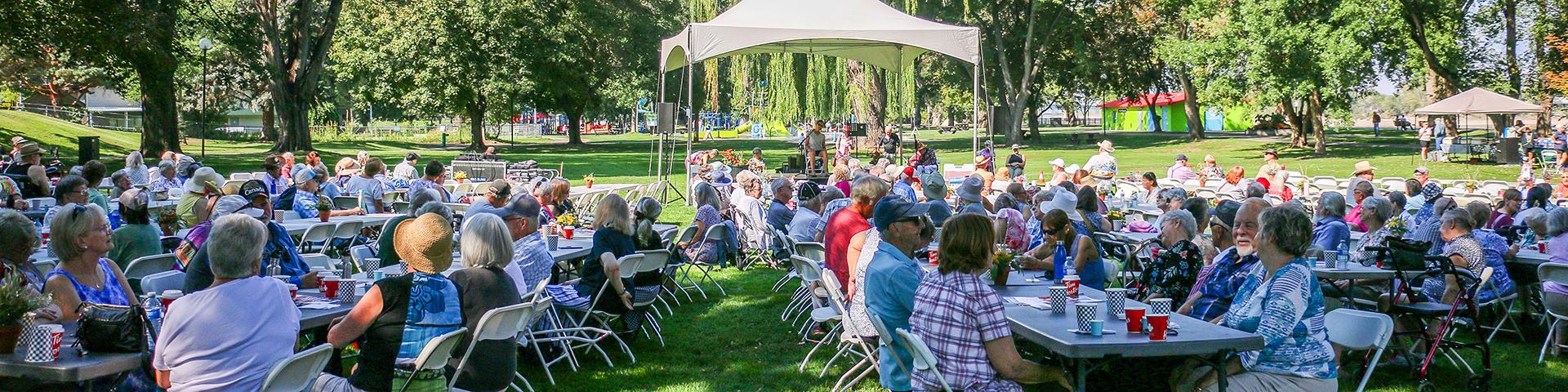 panoramic image of the seniors picnic in Riverside park
