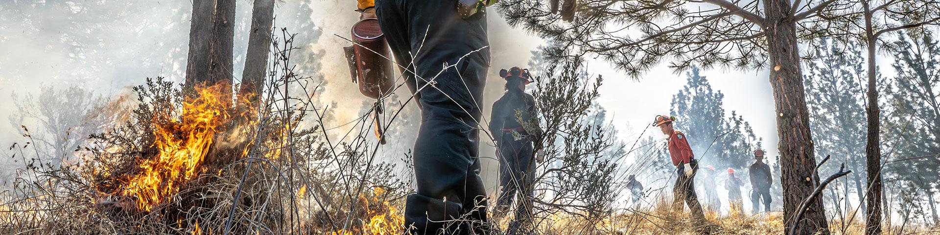 man with drip torch next to sagebrush on fire